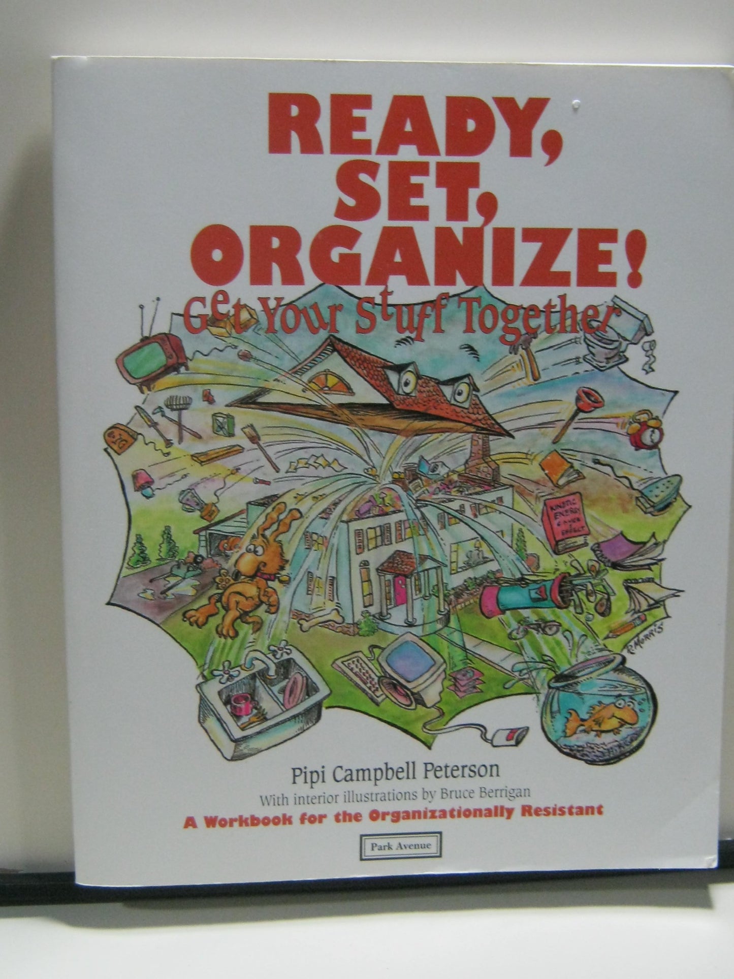 Ready, Set, Organize!: Get Your Stuff Together