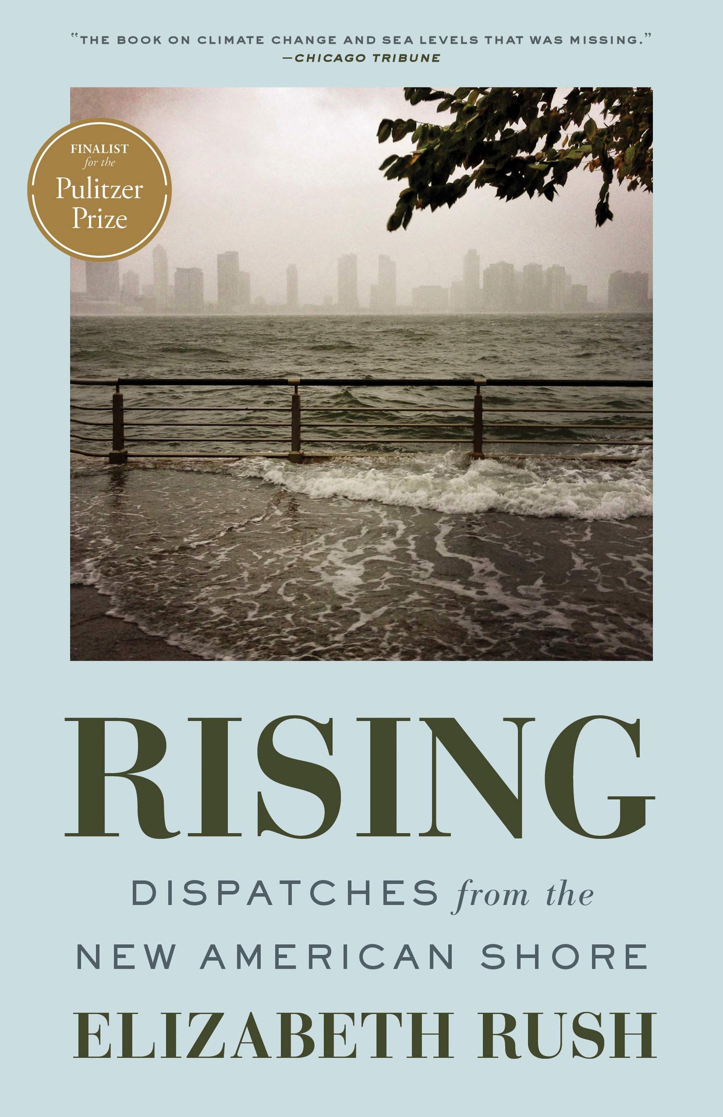 Rising: Dispatches from the New American Shore - 7772
