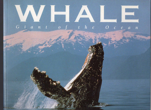 Whale: Giant of the Ocean