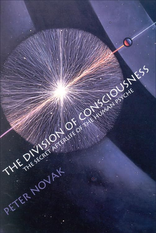 The Division of Consciousness: The Secret Afterlife of the Human Psyche - 8911