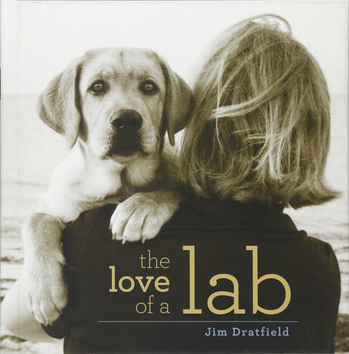 The love of a lab