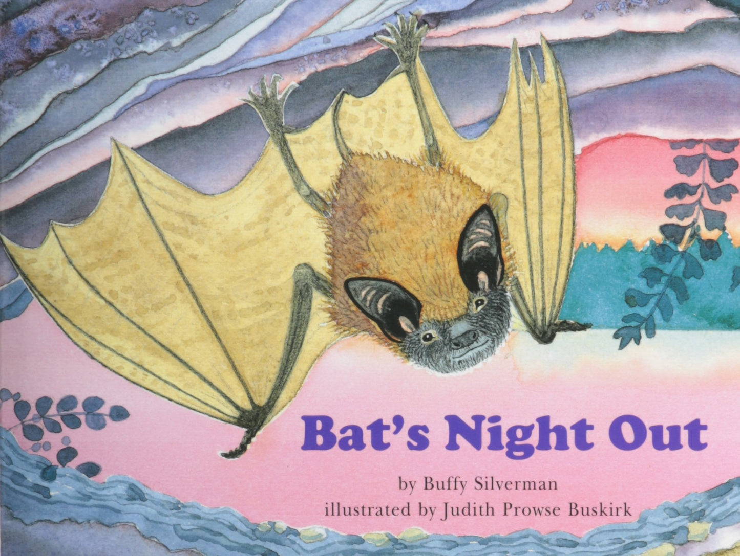 Bat's Night Out (Books for young learners)