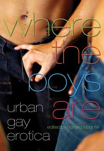 Where the Boys Are: Urban Gay Erotica
