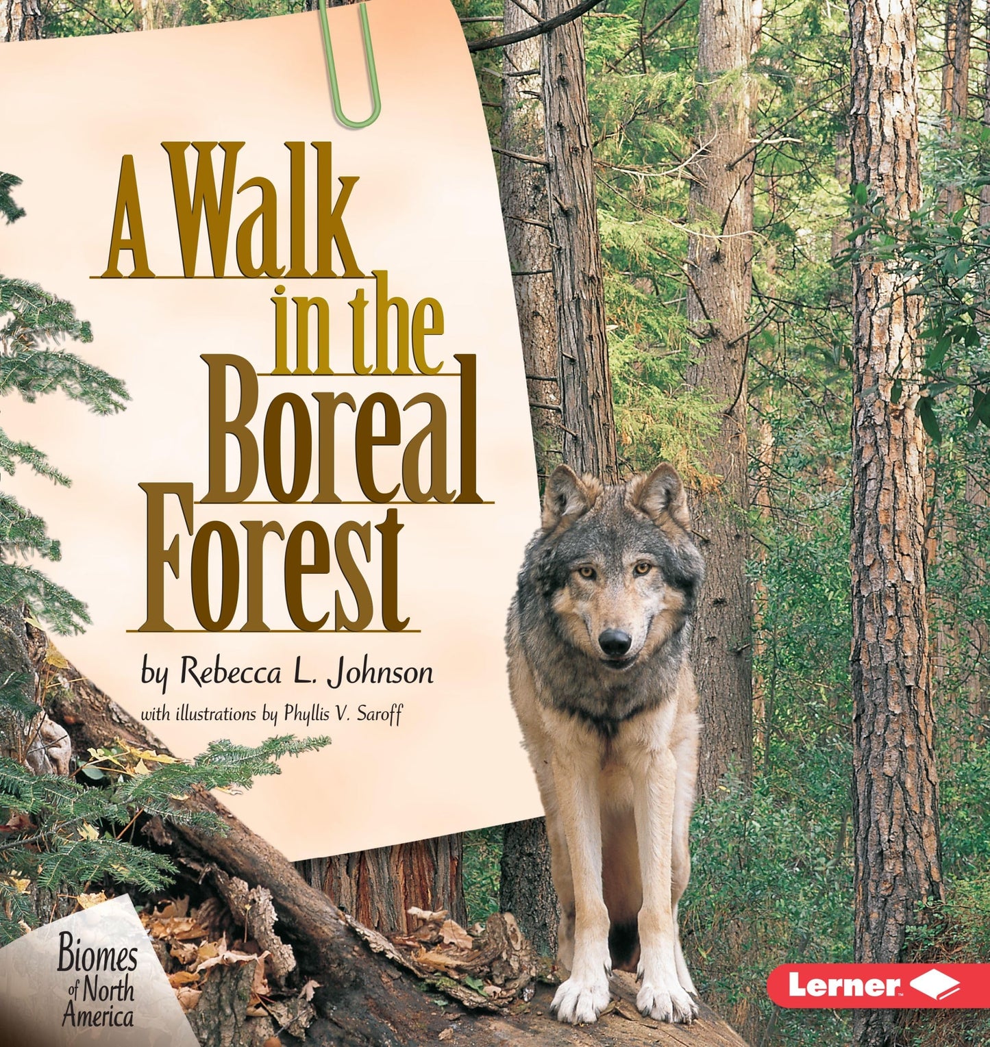 A Walk in the Boreal Forest - 8583