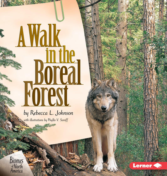 A Walk in the Boreal Forest - 8583