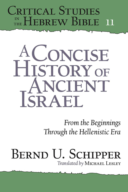 A Concise History of Ancient Israel: From the Beginnings Through the Hellenistic Era (Critical Studies in the Hebrew Bible)