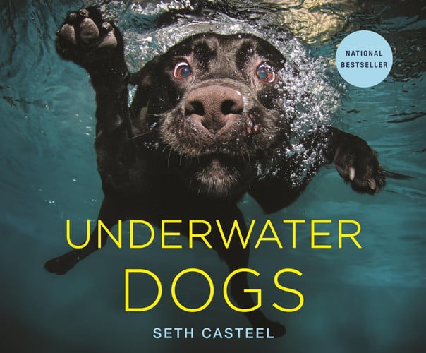 Underwater dogs