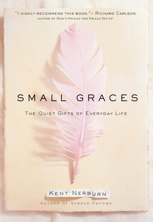 Small Graces: The Quiet Gifts of Everyday Life - 341