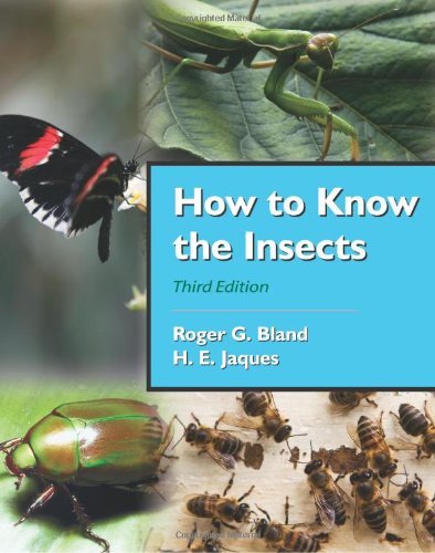 How to Know the Insects - 3538