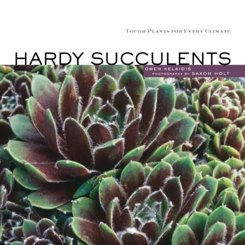 Hardy Succulents: Tough Plants for Every Climate