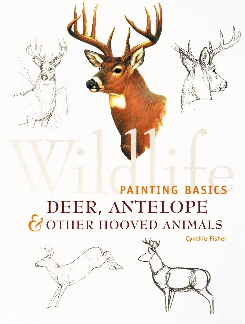 Wildlife Painting Basics: Deer, Antelope & Other Hooved Animals