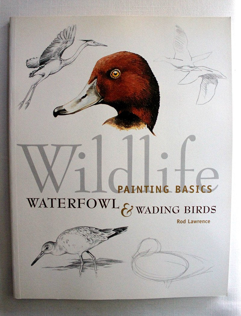 Wildlife Painting Basics Waterfowl & Wading Birds