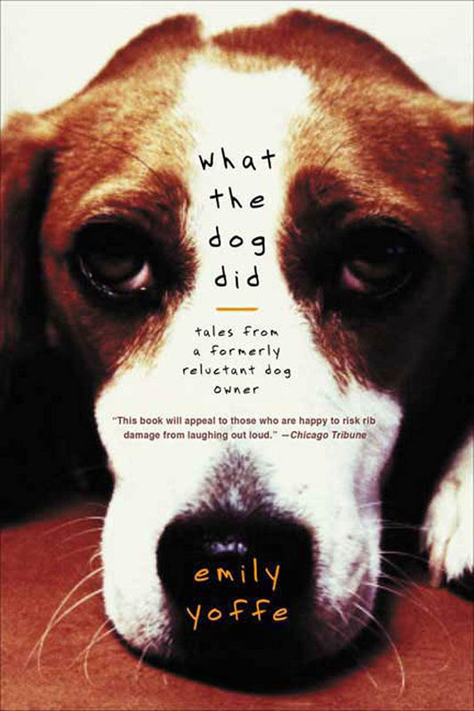 What the Dog Did: Tales from a Formerly Reluctant Dog Owner - 8987