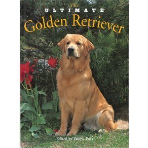 The Ultimate Golden Retriever