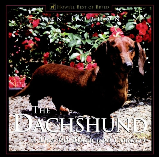 The Dachshund: A Dog for Town and Country - 172
