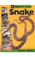Snake (Watch It Grow) - 4889