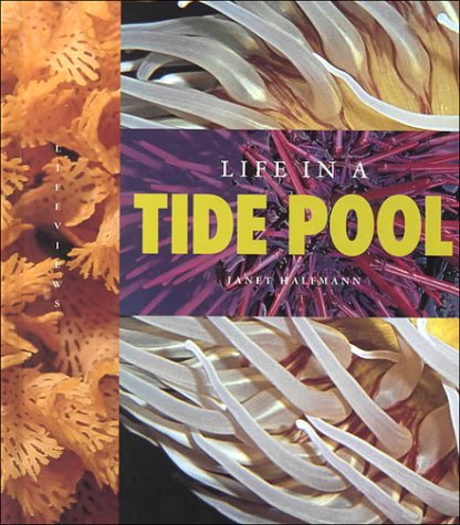 Life in a Tide Pool (Lifeviews)