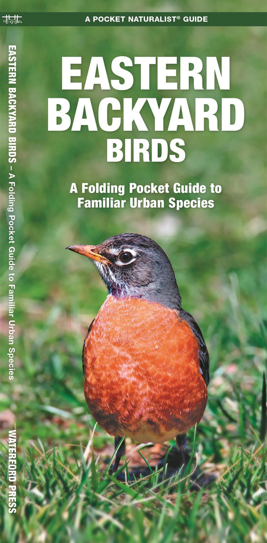 Eastern Backyard Birds: A Folding Pocket Guide to Familiar Urban Species (Nature Observation North America)