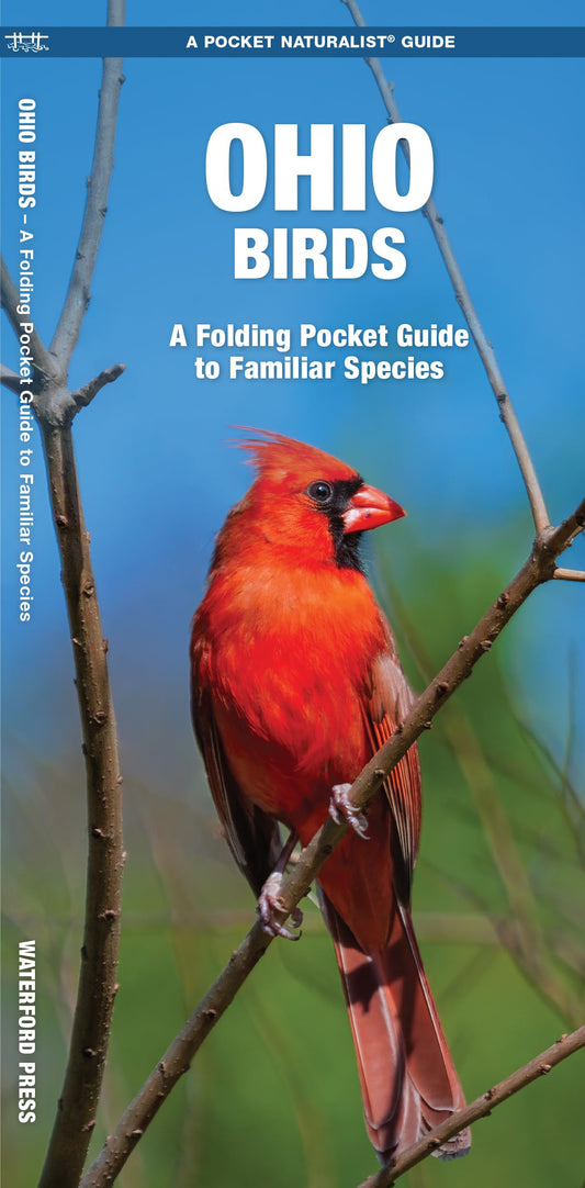 Ohio Birds (Nature Observation North America)