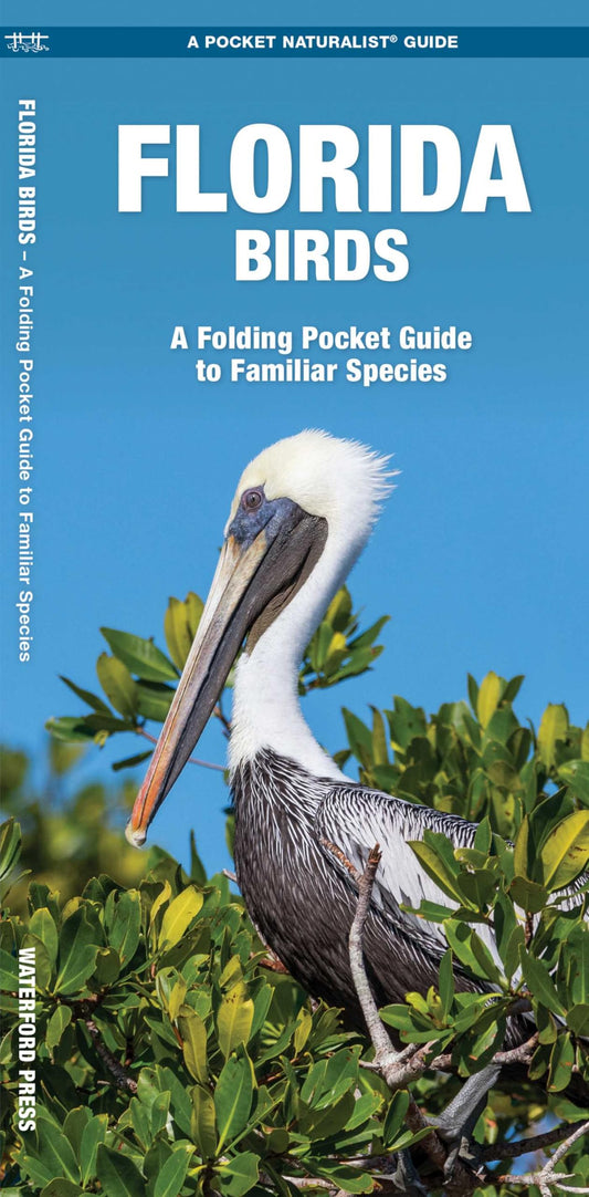 Florida Birds: A Folding Pocket Guide to Familiar Species (Nature Observation North America)