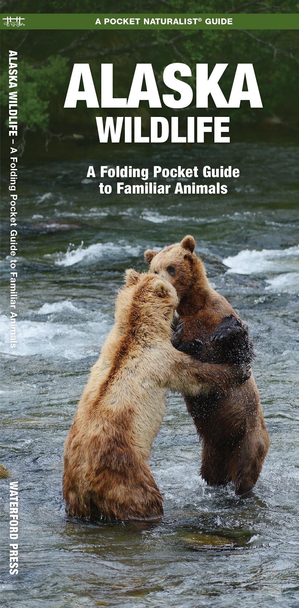 Alaska Wildlife (Nature Observation North America) - 6466