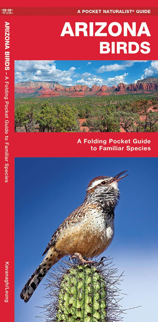 Arizona Birds (Nature Observation North America)