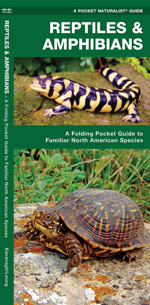 Reptiles & Amphibians: A Folding Pocket Guide to Familiar North American Species (Nature Observation North America)