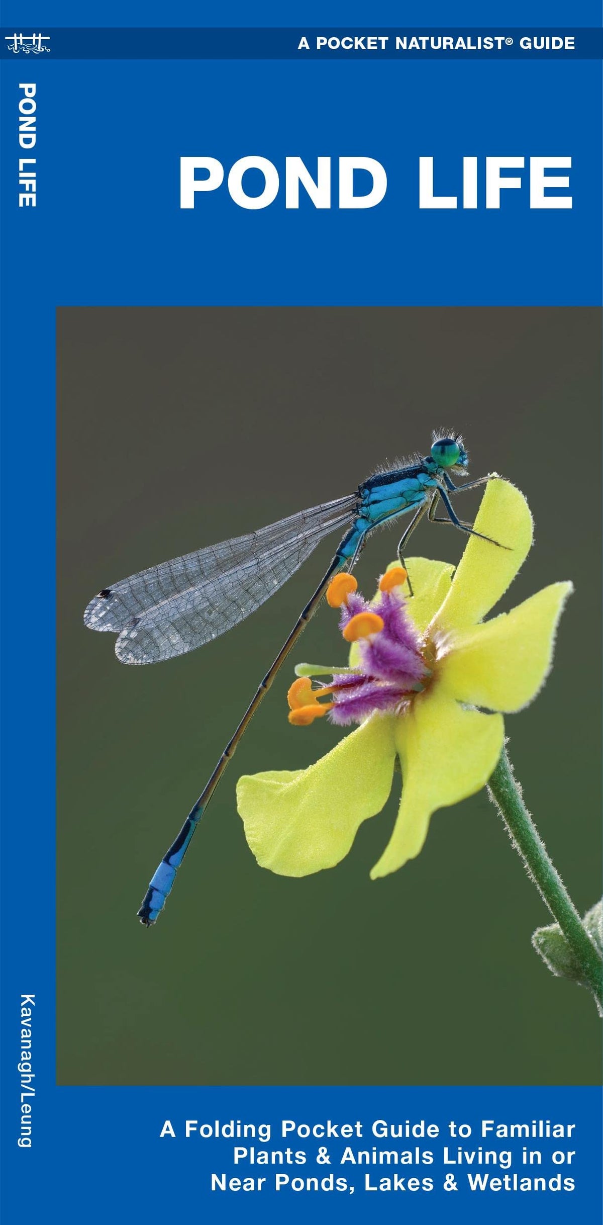 Pond Life: A Folding Pocket Guide to Familiar Plants & Animals Living in or Near Ponds, Lakes & Wetlands (Nature Observation North America)