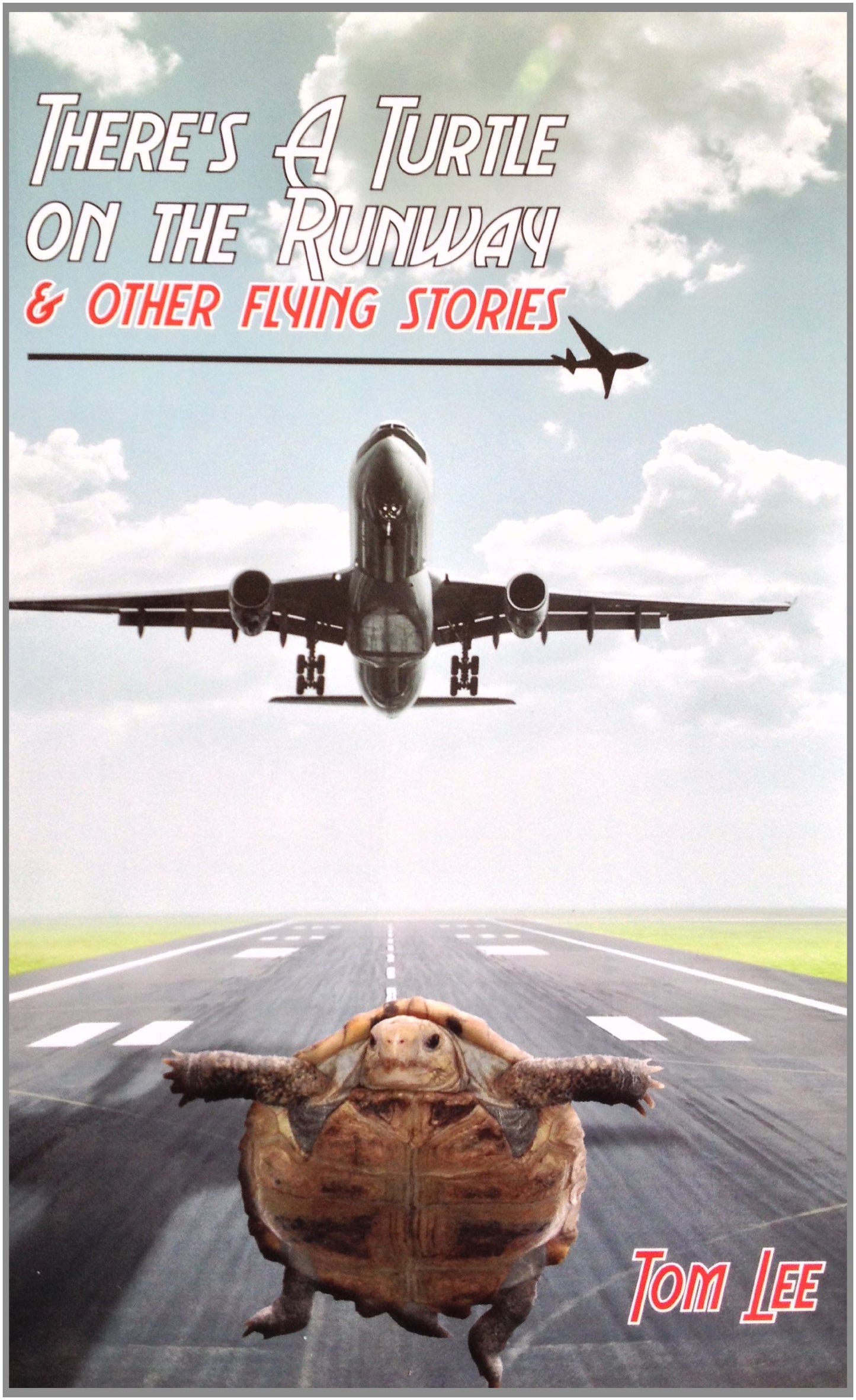 There's A Turtle on the Runway & other flying stories