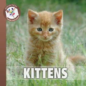 Kittens - 72