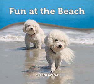 Fun at the Beach - 9475