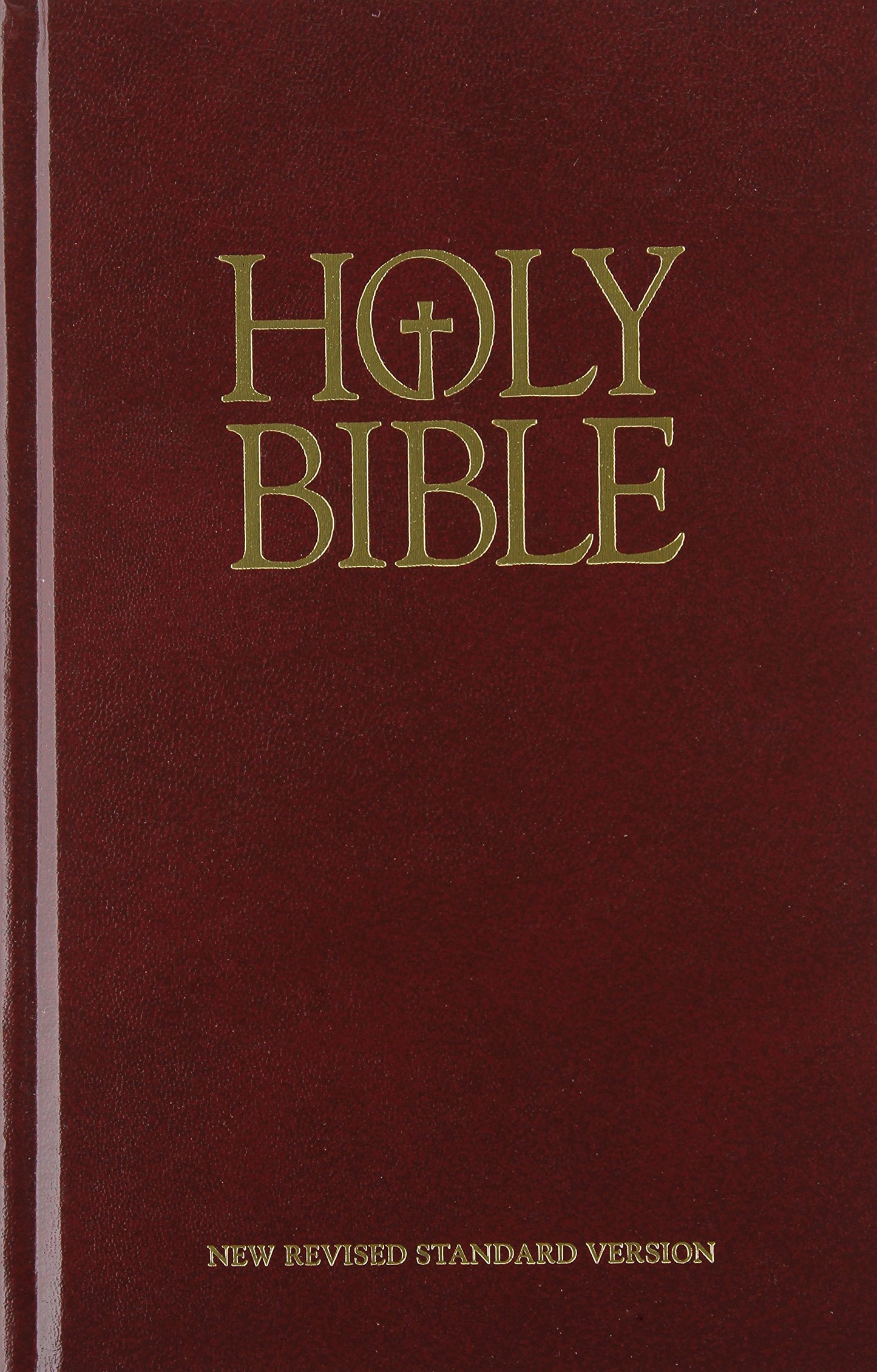 Holy Bible New Revised Standard Version - 3643