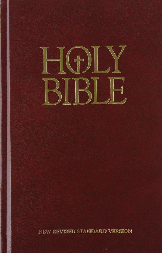 Holy Bible New Revised Standard Version - 3643