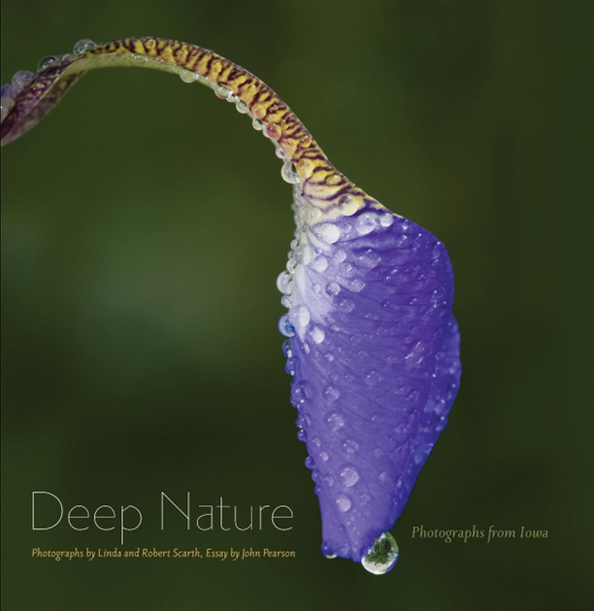 Deep Nature: Photographs from Iowa (Bur Oak Book)