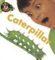 Caterpillar (Bug Books)