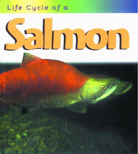 Salmon (Life Cycle of A) - 5771