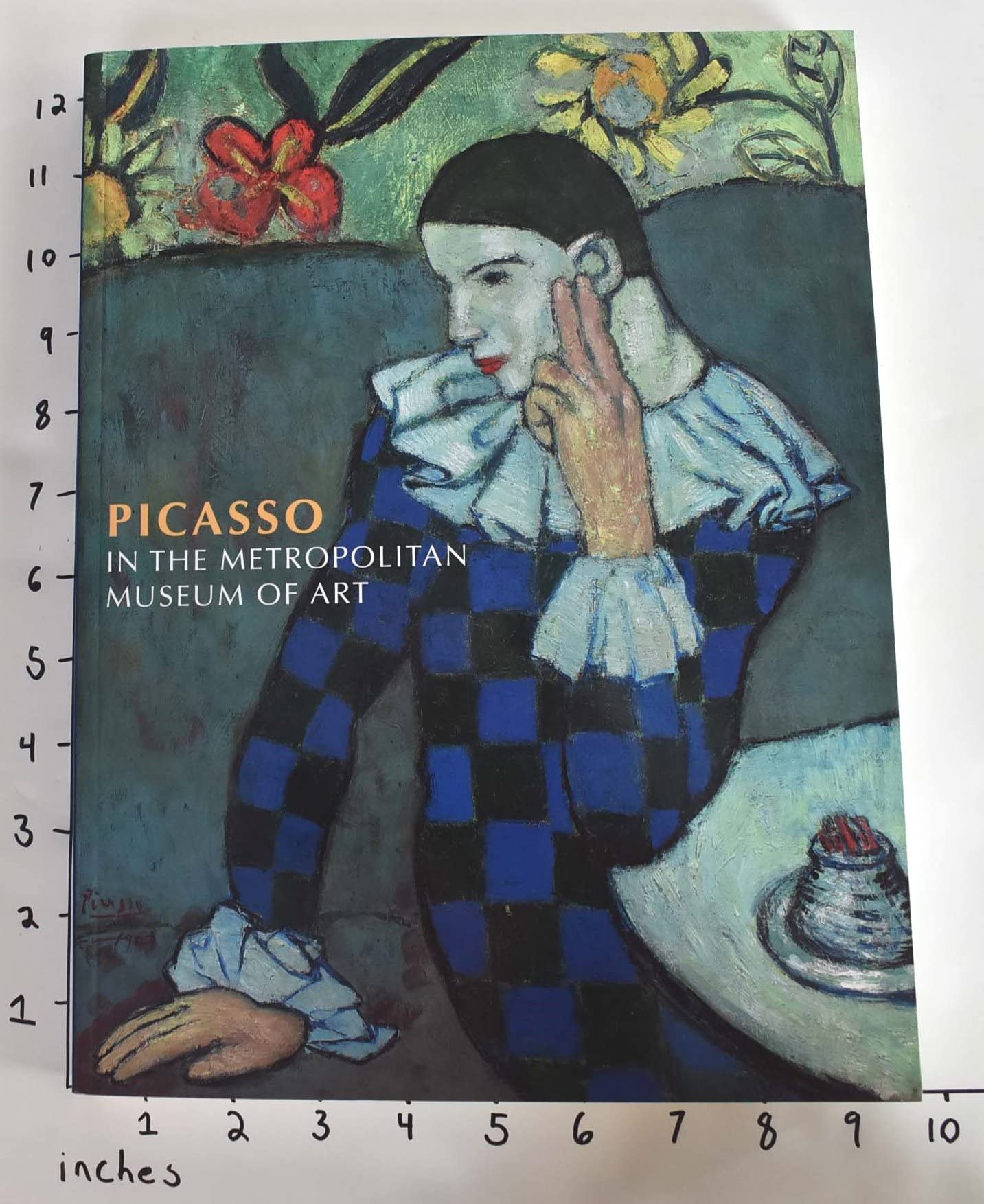 Picasso in the Metropolitan Museum of Art