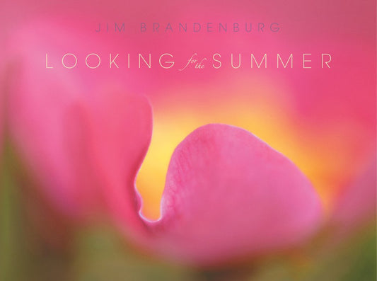 Looking for the Summer - 3086