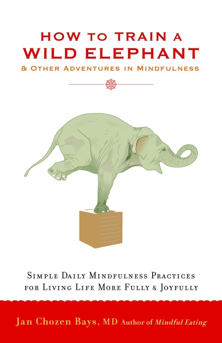 How to Train a Wild Elephant: And Other Adventures in Mindfulness - 8952