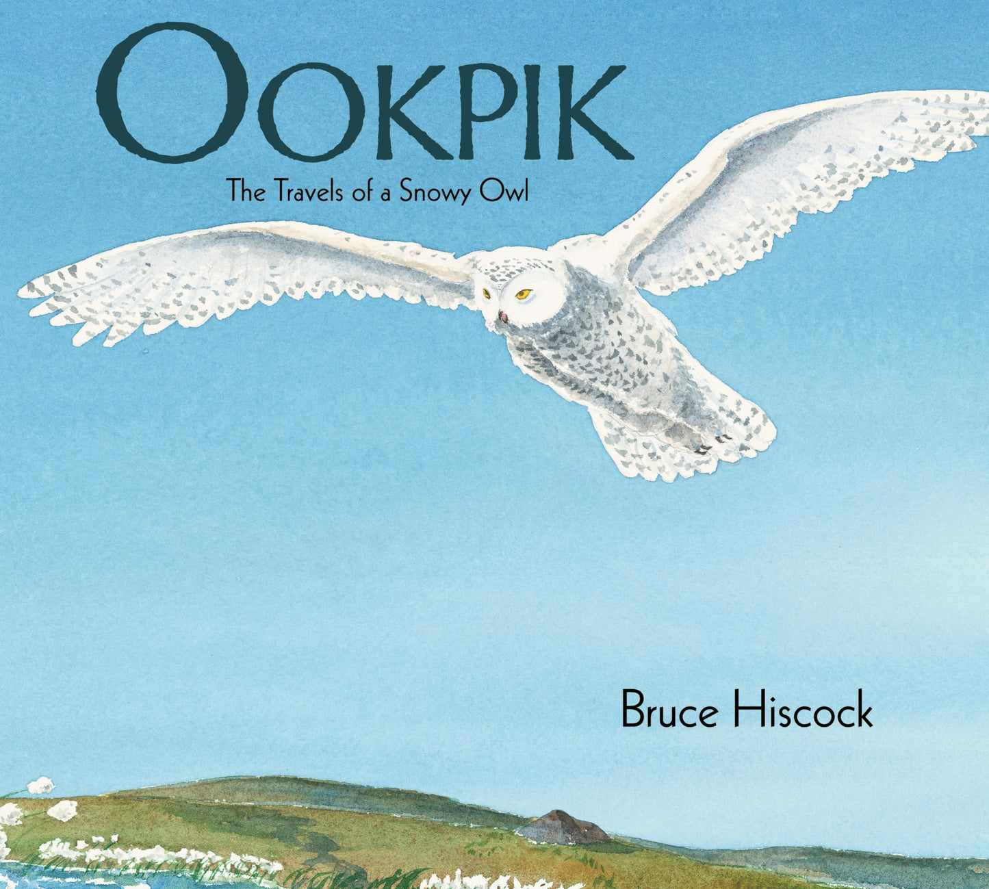 Ookpik: The Travels of a Snowy Owl - 6013