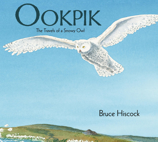 Ookpik: The Travels of a Snowy Owl - 4509