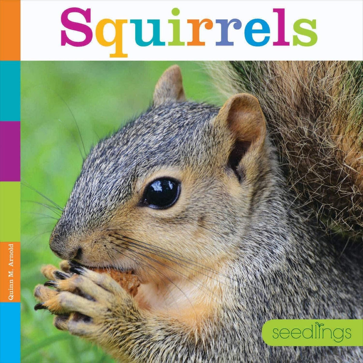 Squirrels (Seedlings: Animals)