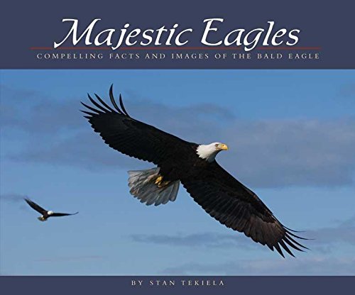 Majestic Eagles: Compelling Facts and Images of the Bald Eagle (Wildlife Appreciation)