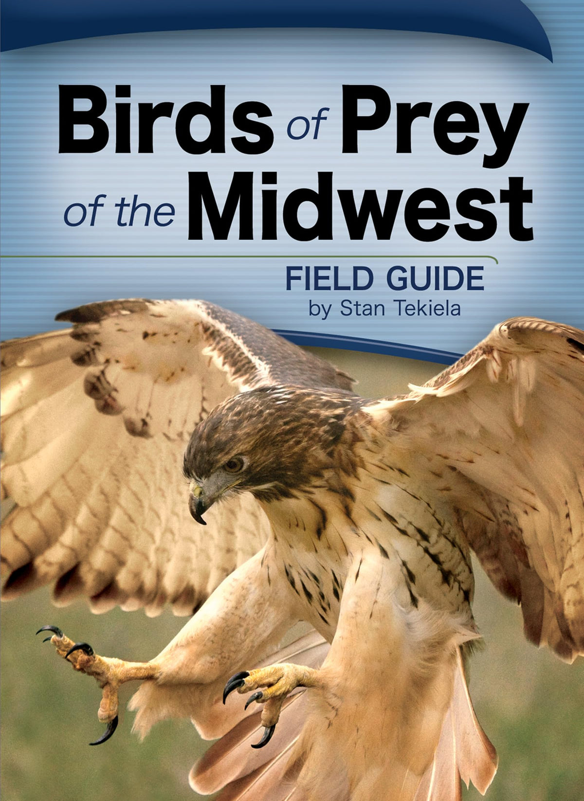 Birds of Prey of the Midwest Field Guide (Bird Identification Guides)