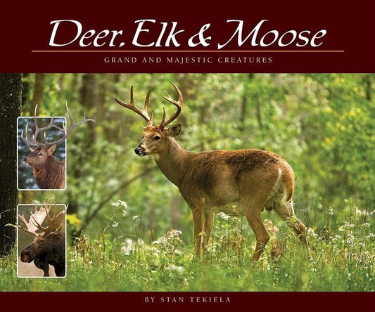 Deer, Elk & Moose: Grand and Majestic Creatures (Wildlife Appreciation) - 4270