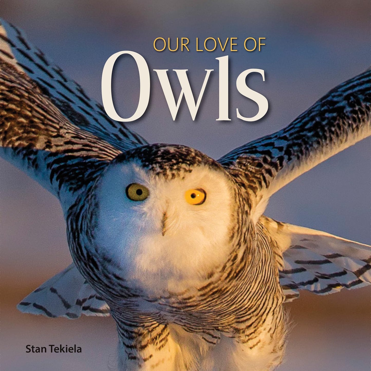 Our Love of Owls (Our Love of Wildlife)
