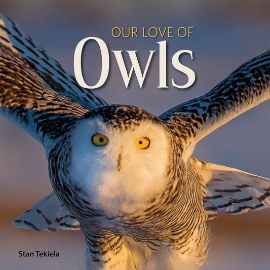 Our Love of Owls (Our Love of Wildlife)