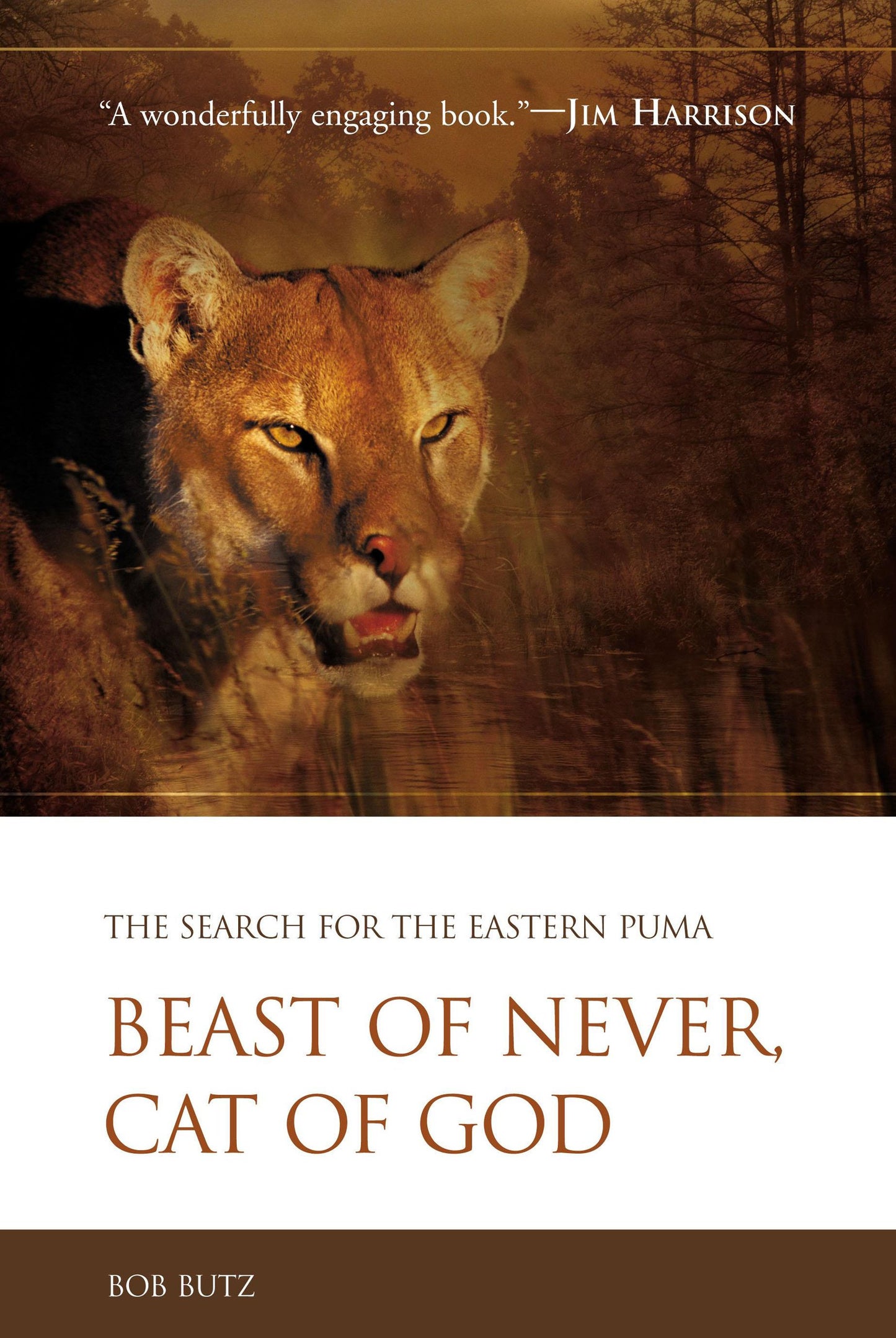 Beast of Never, Cat of God: The Search for the Eastern Puma