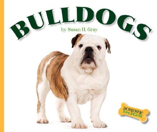 Bulldogs (Domestic Dogs, 1269)