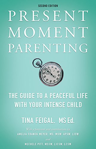 Present Moment Parenting: The Guide to a Peaceful Life with Your Intense Child - 7435